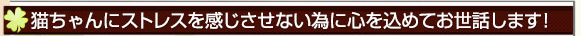 猫ちゃんにストレスを感じさせない為に心を込めてお世話します！